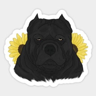 Black American Bully with Sunflowers Sticker